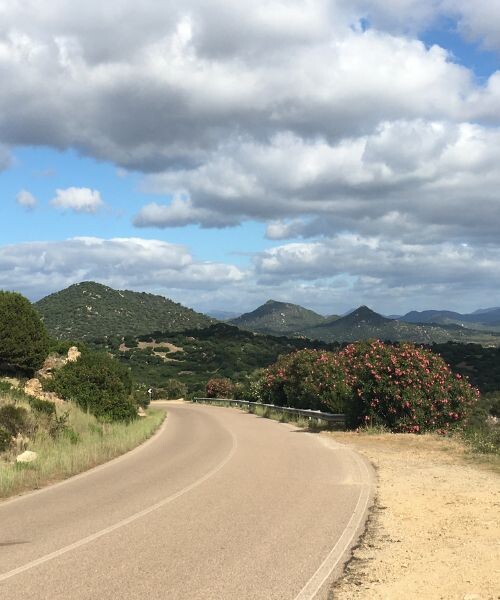 Route sinueuse à travers la garrigue méditerranéenne