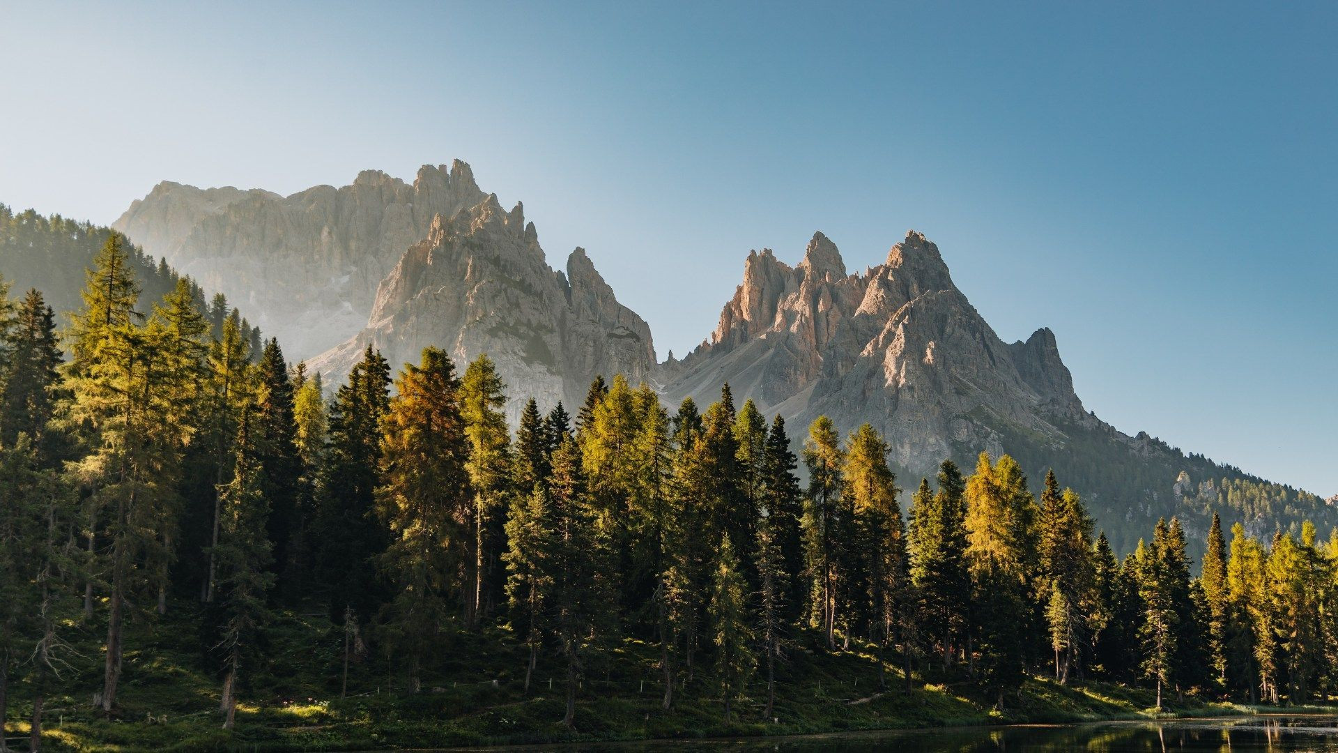 Sommets rocheux au-dessus de la forêt au lever du jour - Dolomites - Italie