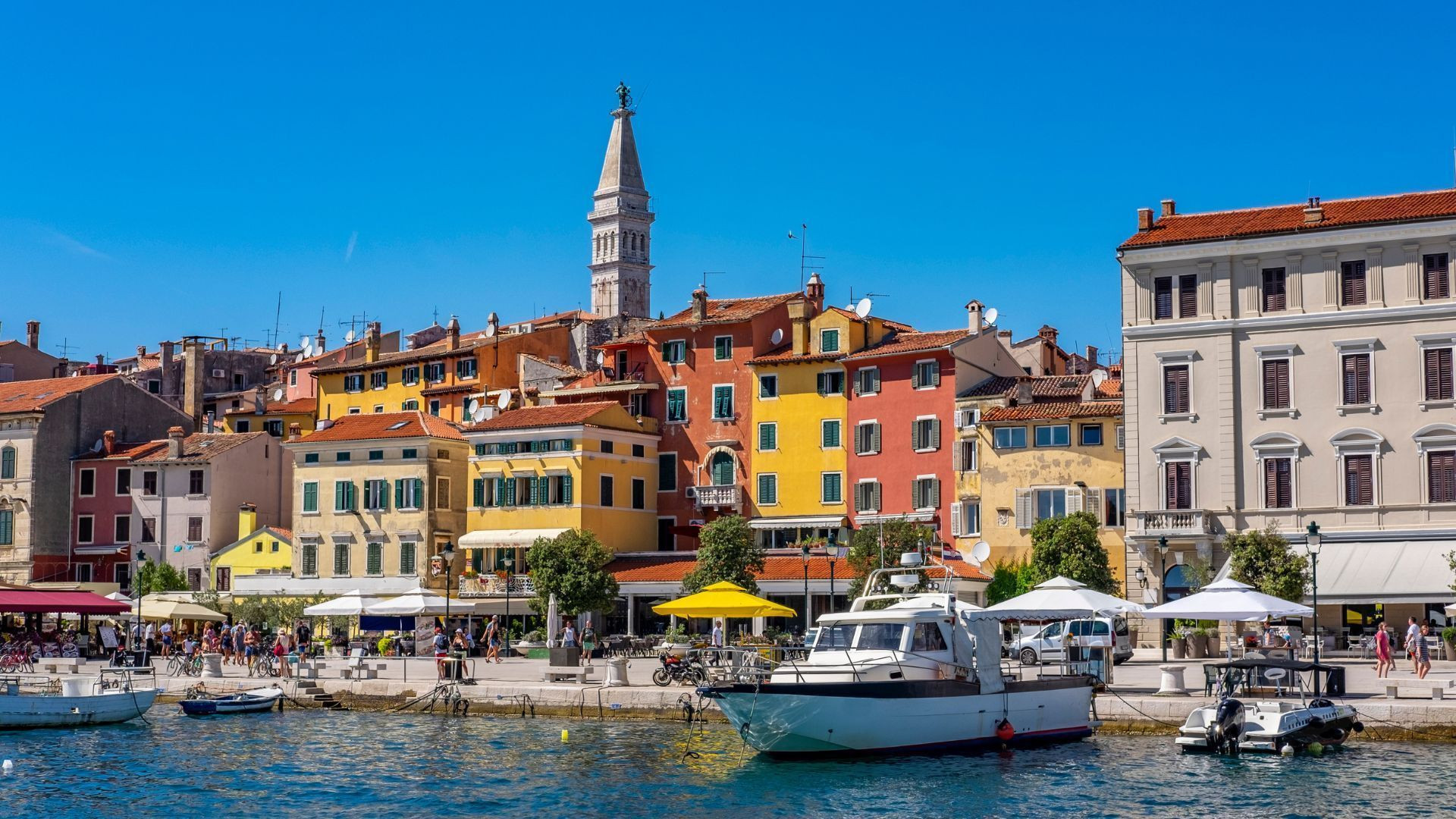 Port de Rovinj et clocher de Sainte-Euphémie - Istrie - Croatie