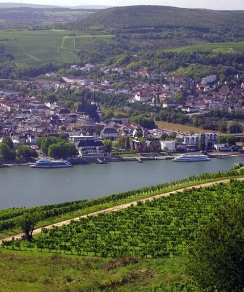 Rüdesheim am Rhein et ses vignobles - Vallée du Rhin - Allemagne