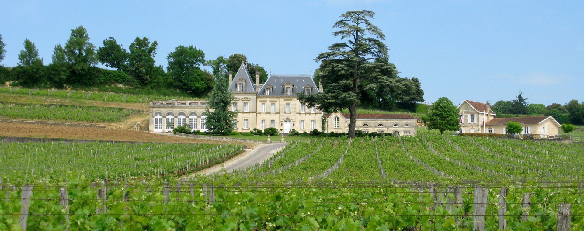 Château et vignobles - Vallée du Lot - France