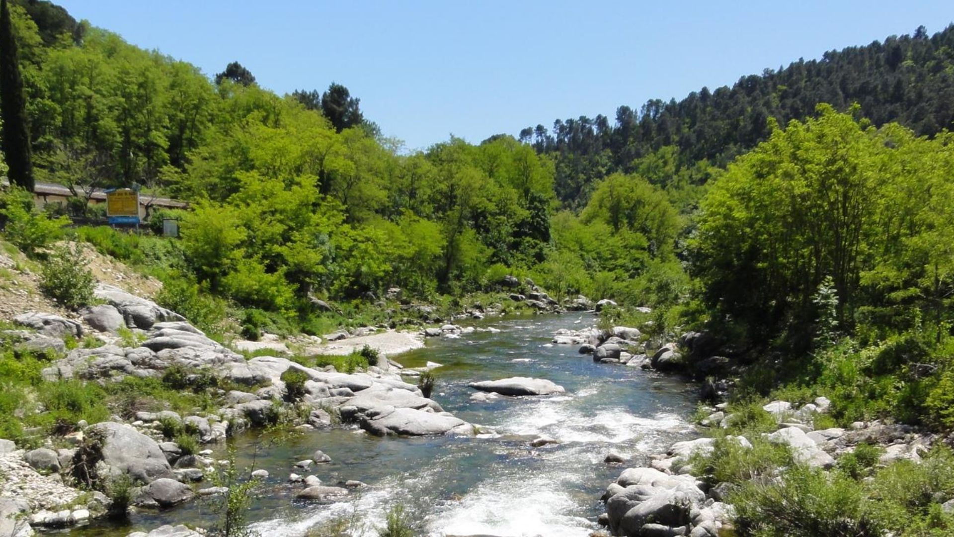 Rivière entre versants boisés - Vallée du Lot - France