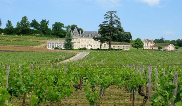 Château et vignoble au bord de l'eau - Bordelais - France