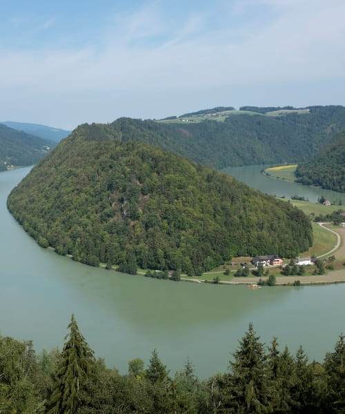 Méandre en fer à cheval du Danube à Schlögen - Autriche