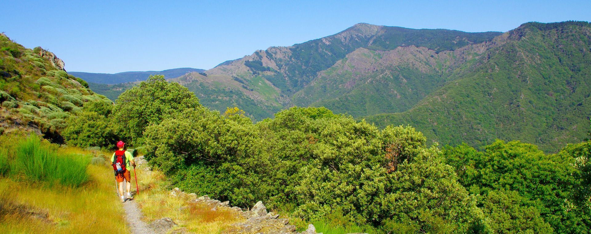 Randonneur en liberté sur un sentier de montagne - Corse - France