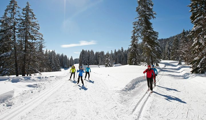 Ski de fond à Autrans-Méaudre - Vercors - France (3)