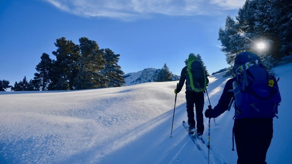 © Matthieu Offredi Skieurs de randonnée dans la forêt enneigée des Hauts Plateaux du Vercors
