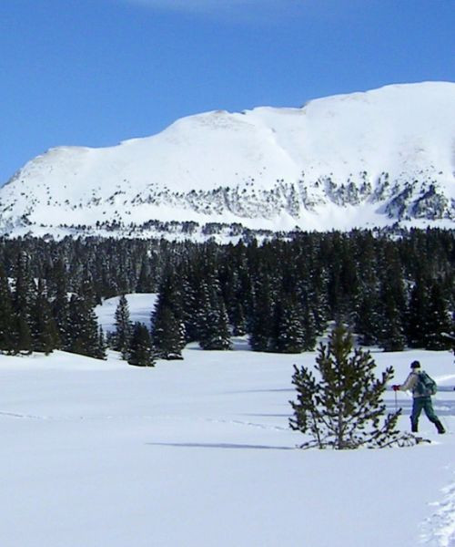 Ski de randonnée sous le Grand Veymont enneigé - Vercors - France