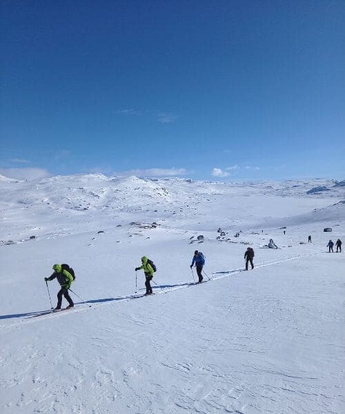 © Matthieu Offredi Groupe de ski de randonnée sur plateau enneigé - Norvège