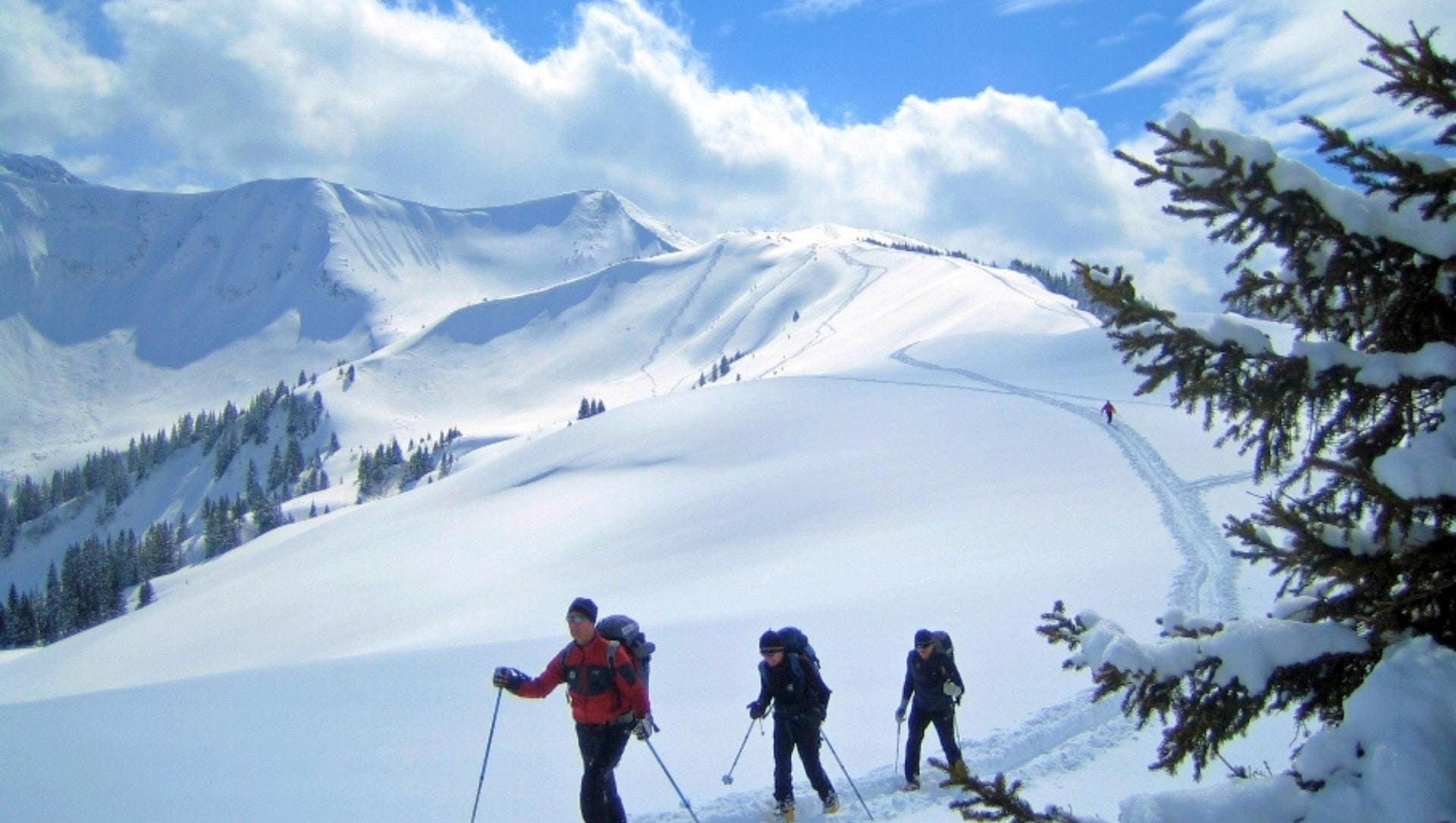 Ski de randonnée sur une pente enneigée - Alpes