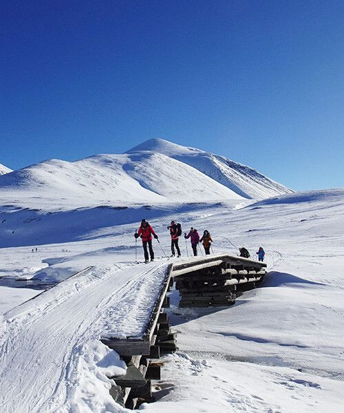 © Cavallini Skieurs traversant un pont dans le Rondane - Norvège