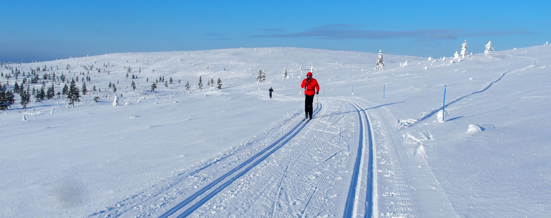 Skieur de fond sur piste enneigée - Saariselkä - Laponie - Finlande