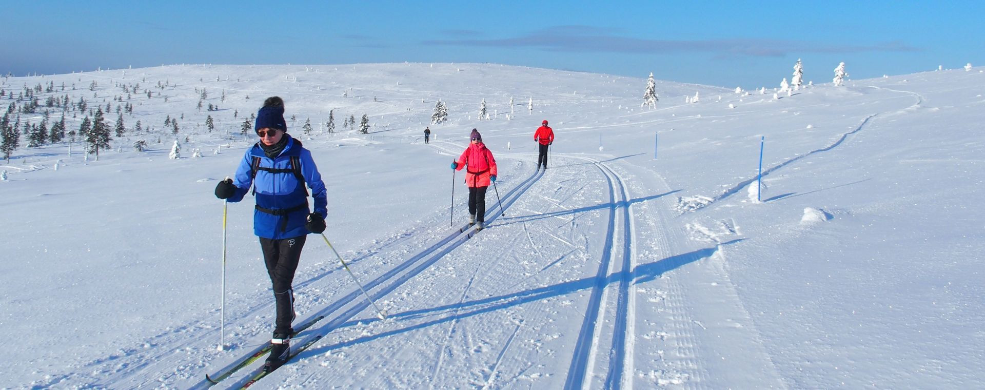 Skieurs de fond près de Kiilopää - Laponie - Finlande