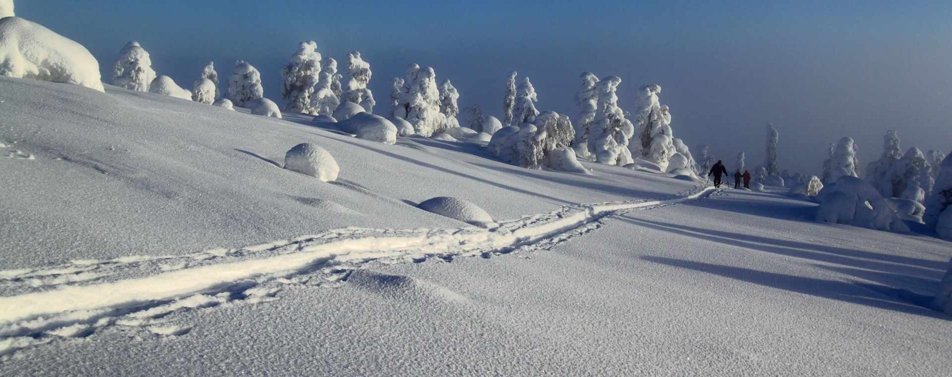Randonneurs à ski dans la forêt enneigée - Nord - Finlande