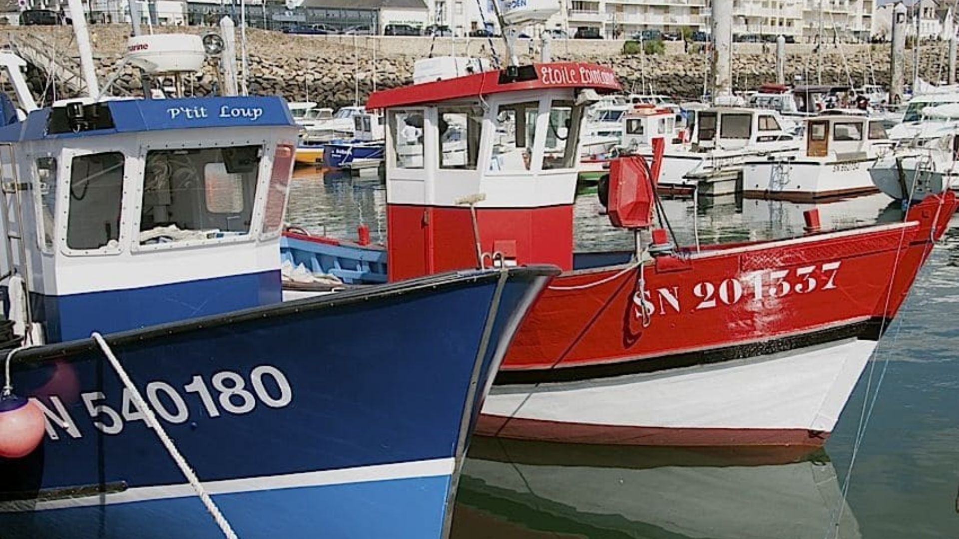 Bateaux de pêche colorés amarrés dans le port - Côte atlantique - France