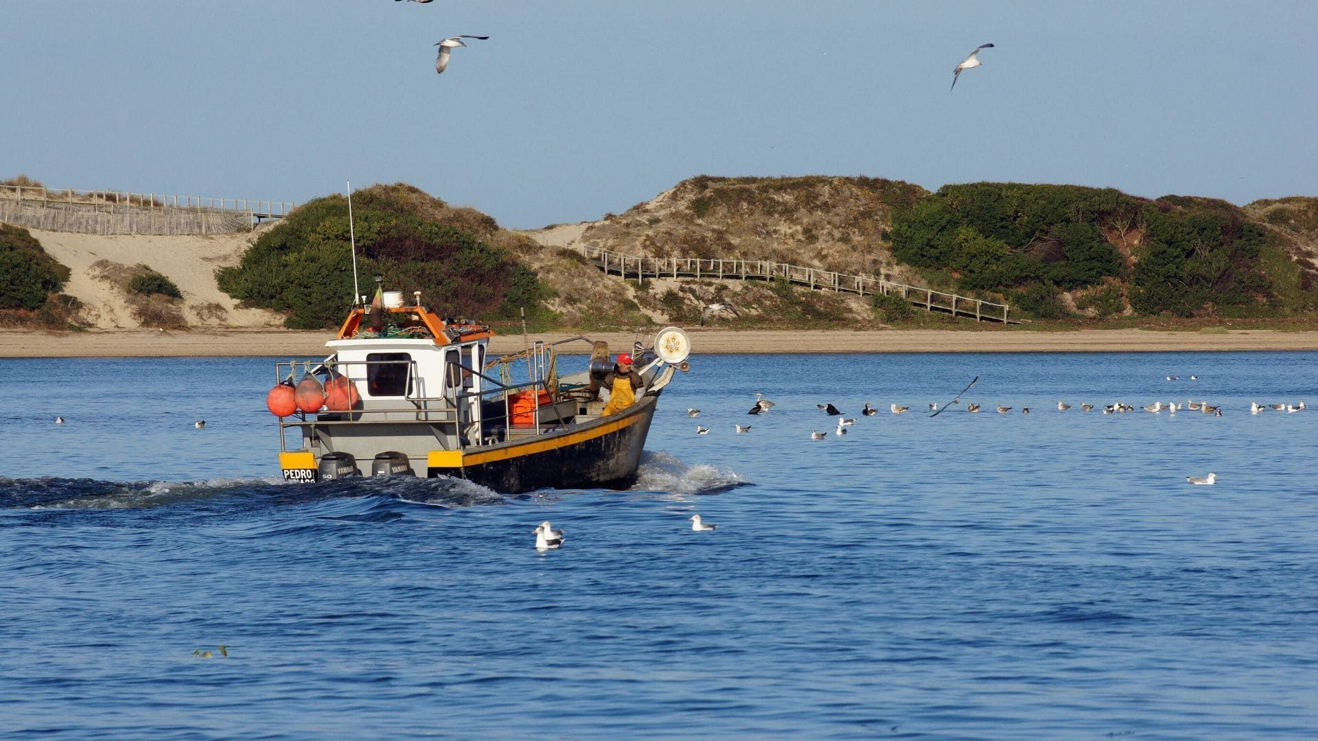 Petit bateau de pêche au large - Vila do Conde - Portugal