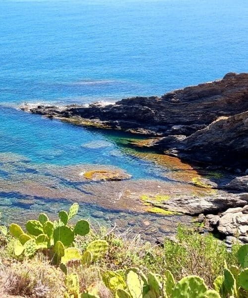 Petite crique rocheuse - entre Collioure et Banyuls - Côte Vermeille, France
