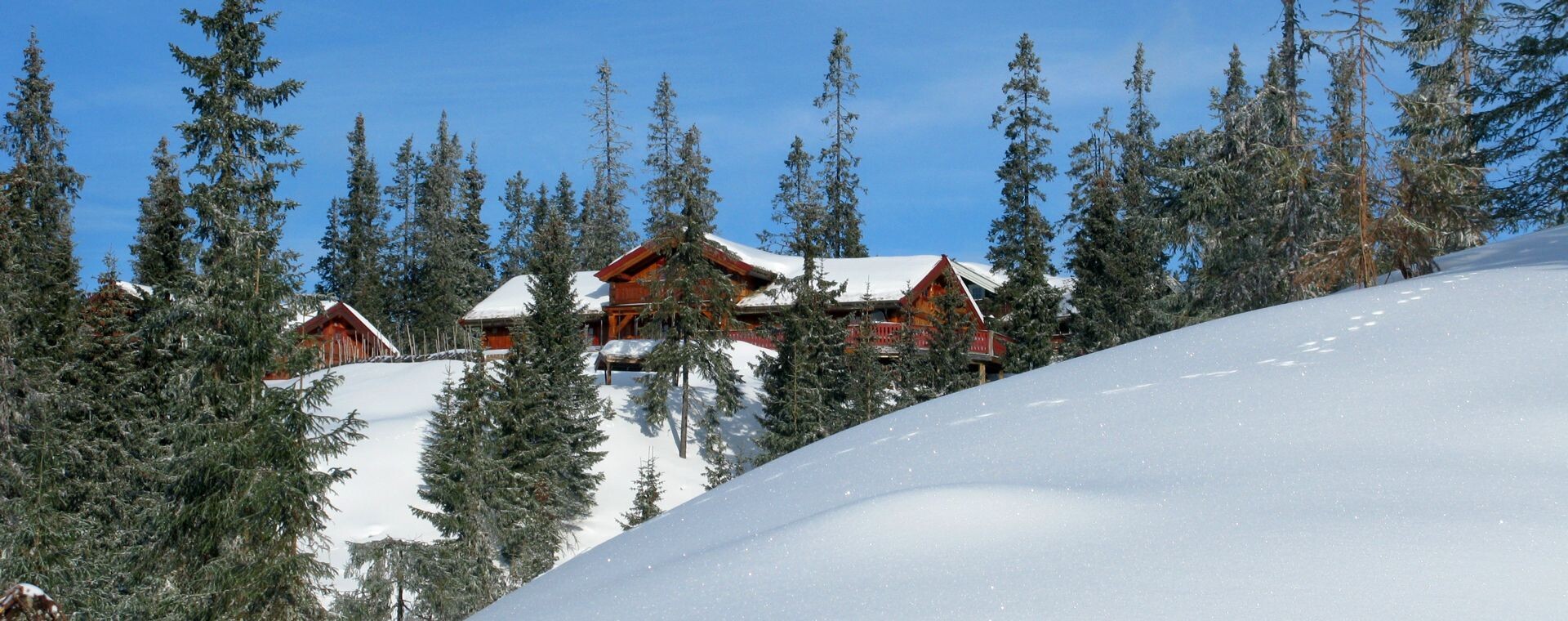Chalet enneigé parmi les épicéas - Sjusjøen en hiver - Norvège
