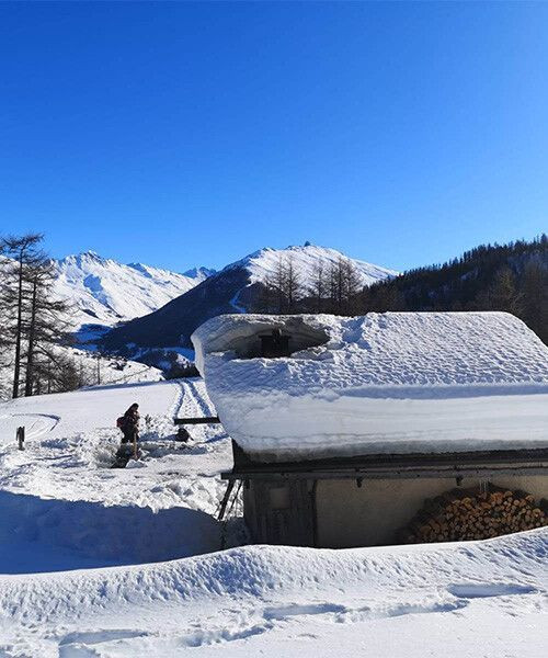 Chalet de montagne sous la neige en hiver - Alpes