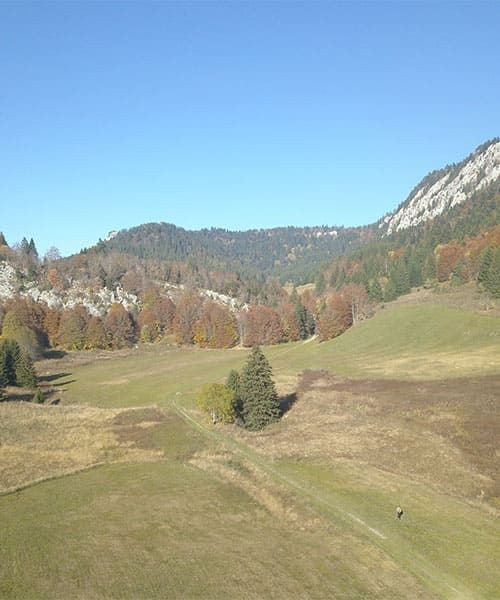 Plaine enneigée de Lans-en-Vercors - Alpes - France