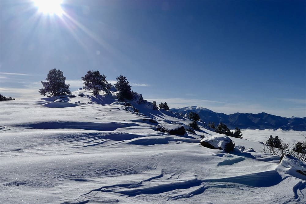 Plateau enneigé au soleil - Cerdagne - Pyrénées - France