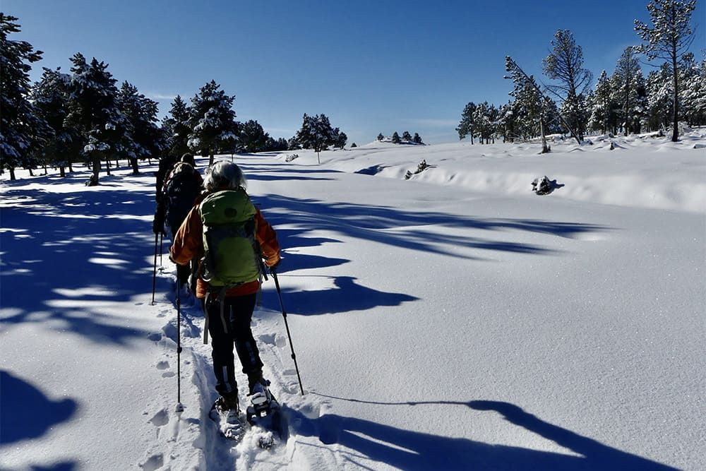 Raquettes à neige - Pyrénées-Orientales - France
