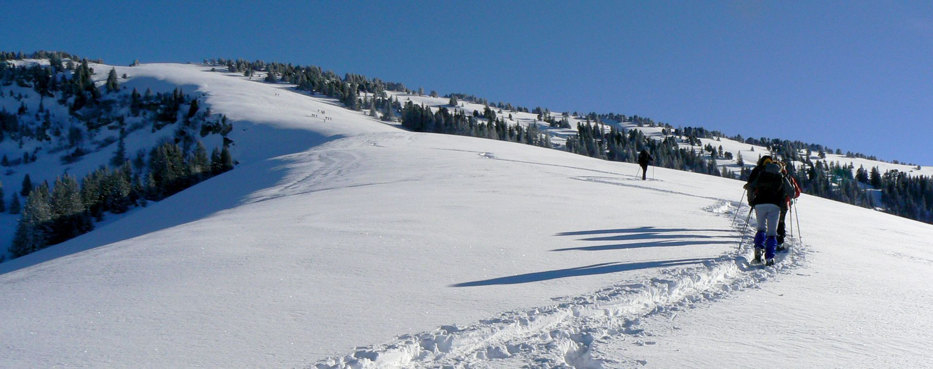 Randonneurs en raquettes sur une crête enneigée - Jura franco-suisse - France