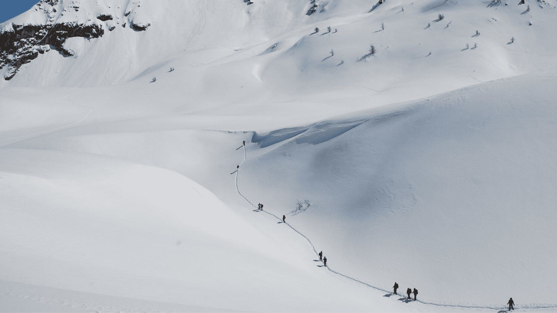 File de randonneurs en raquettes sur un versant enneigé - Queyras - Alpes - France