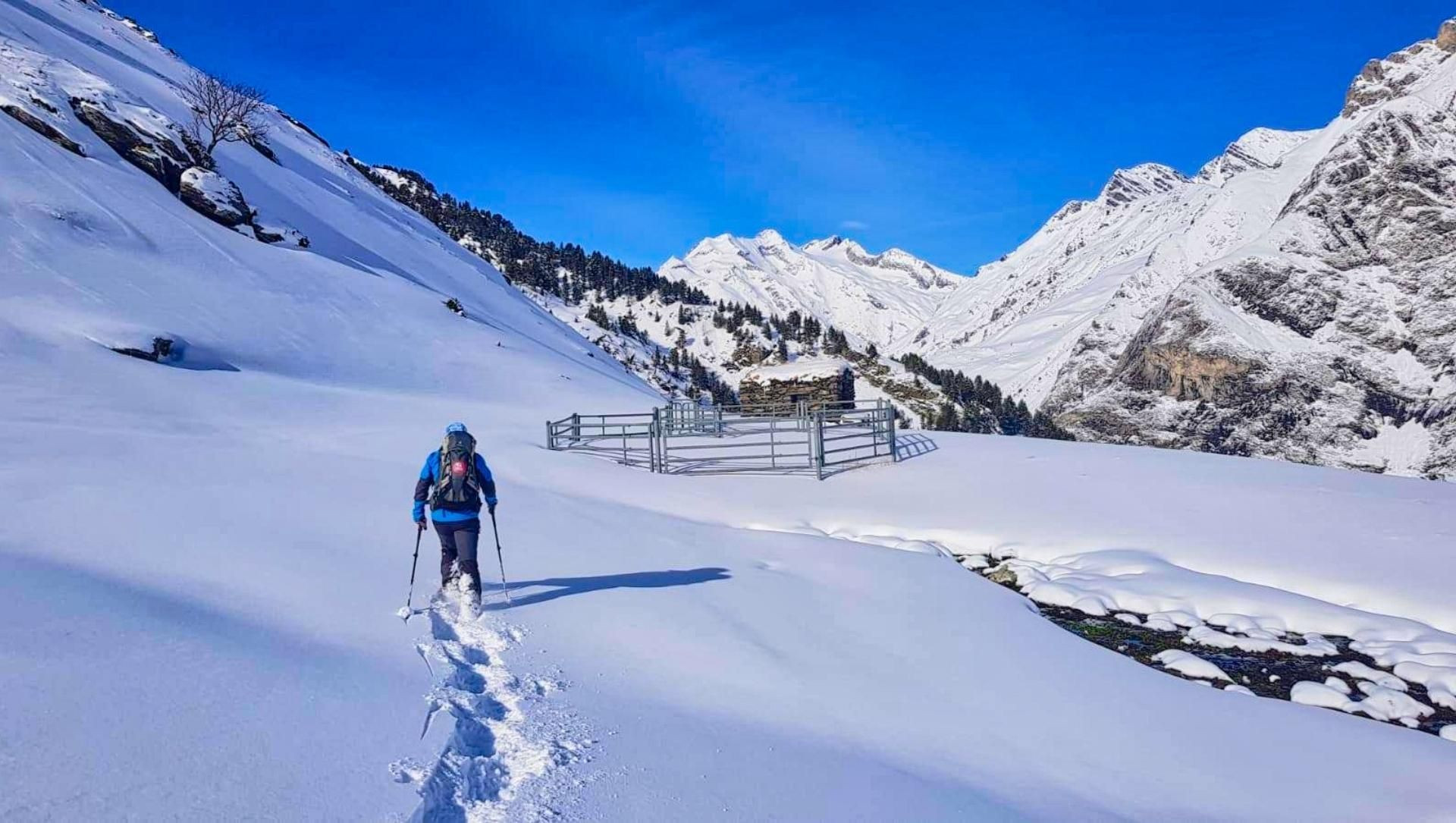 Raquettes à neige vers un enclos pastoral - Cauterets - Pyrénées, France
