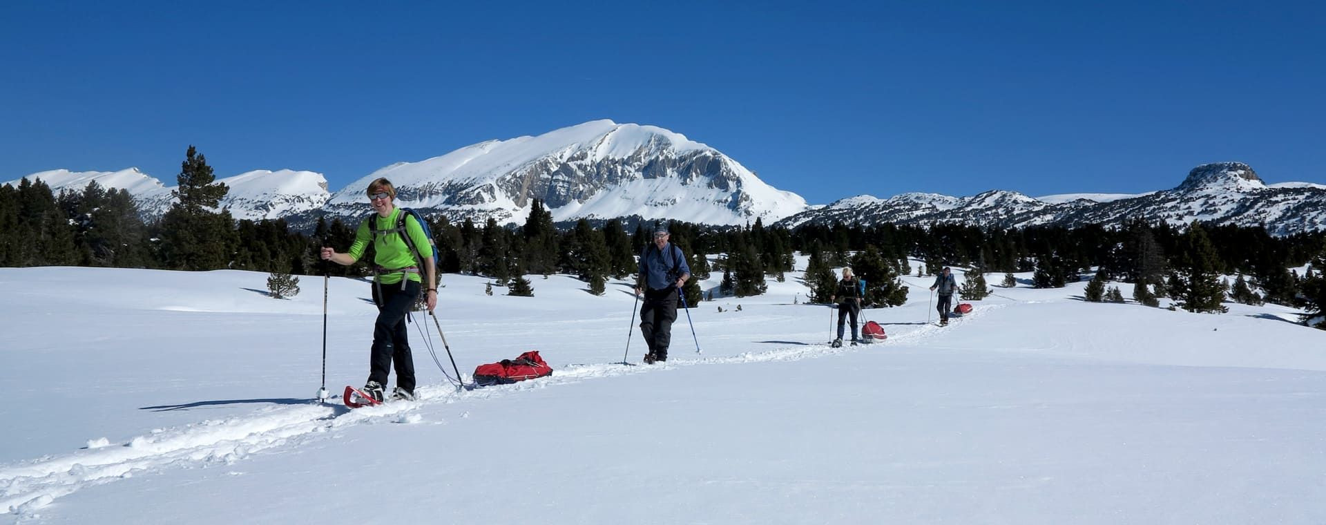 Raquettes et pulkas devant le Grand Veymont - Hauts-Plateaux du Vercors - France