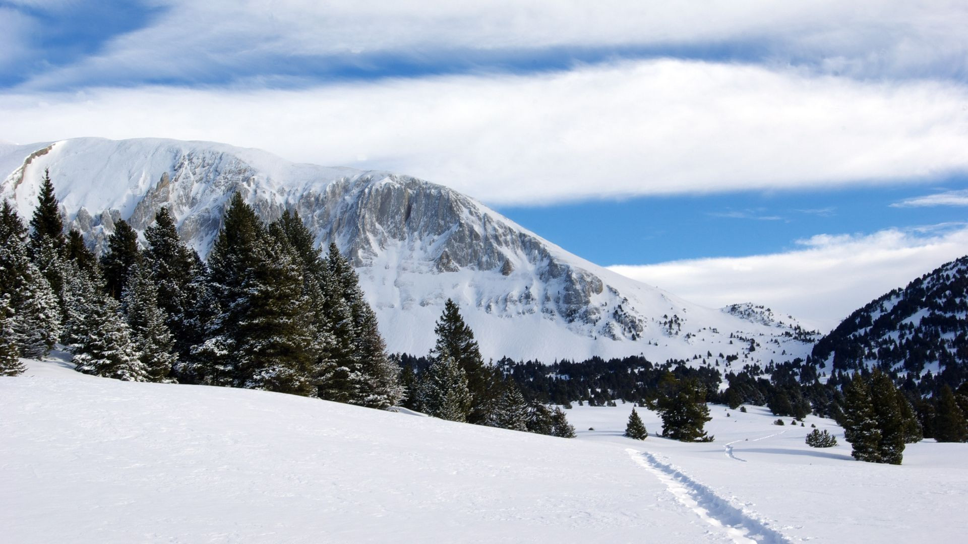 Randonneurs en raquettes dans la forêt enneigée - Vercors