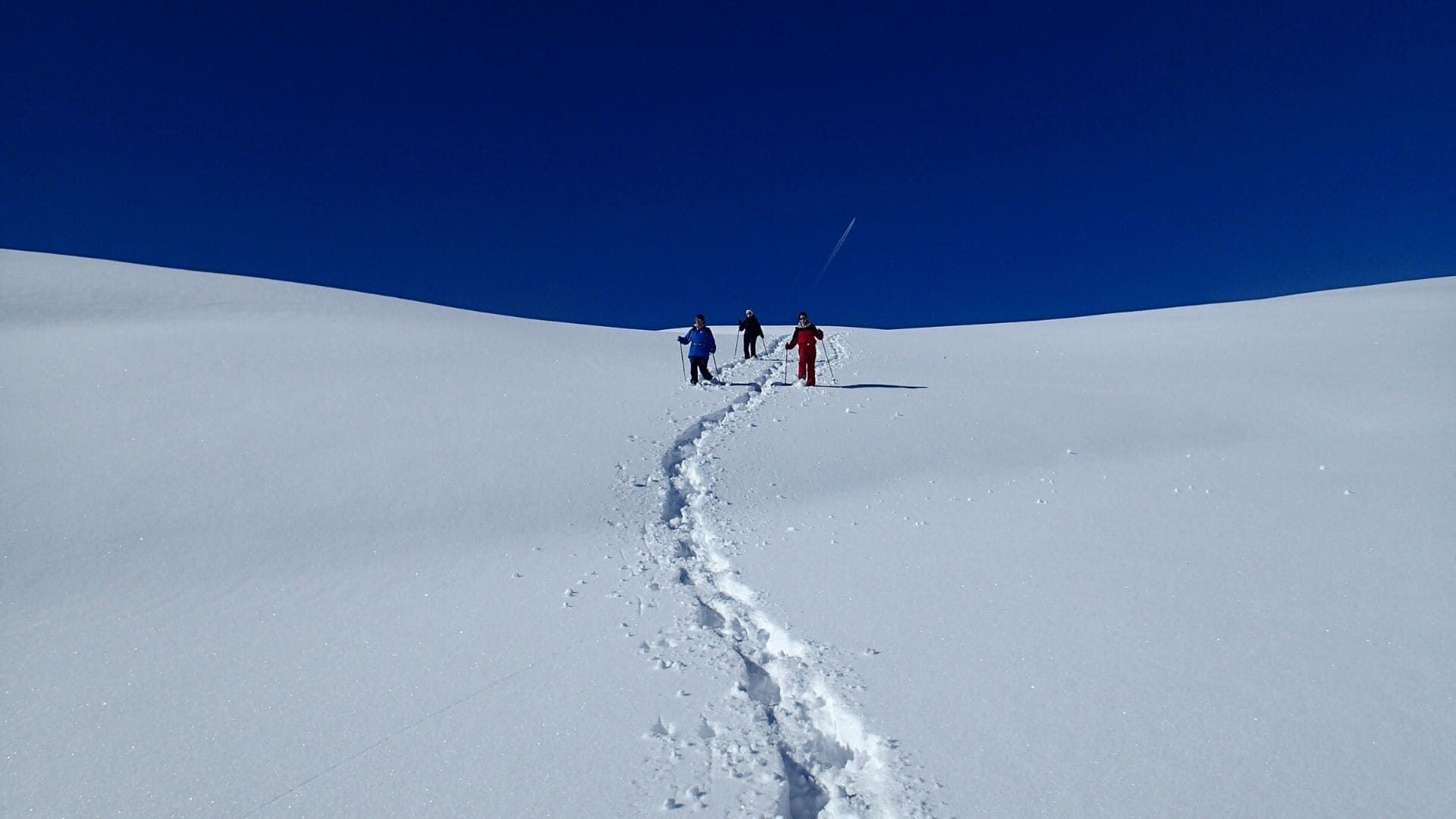 Raquettistes sur une croupe enneigée sous ciel bleu - Tarentaise - Savoie, France