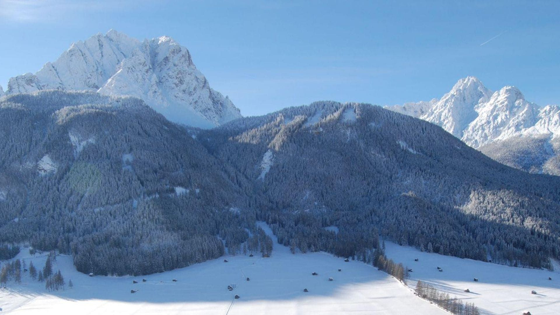 Montagnes enneigées et forêts au pied de la Punta Tre Scarperi - Rocca dei Baranci - Dolomites, Italie