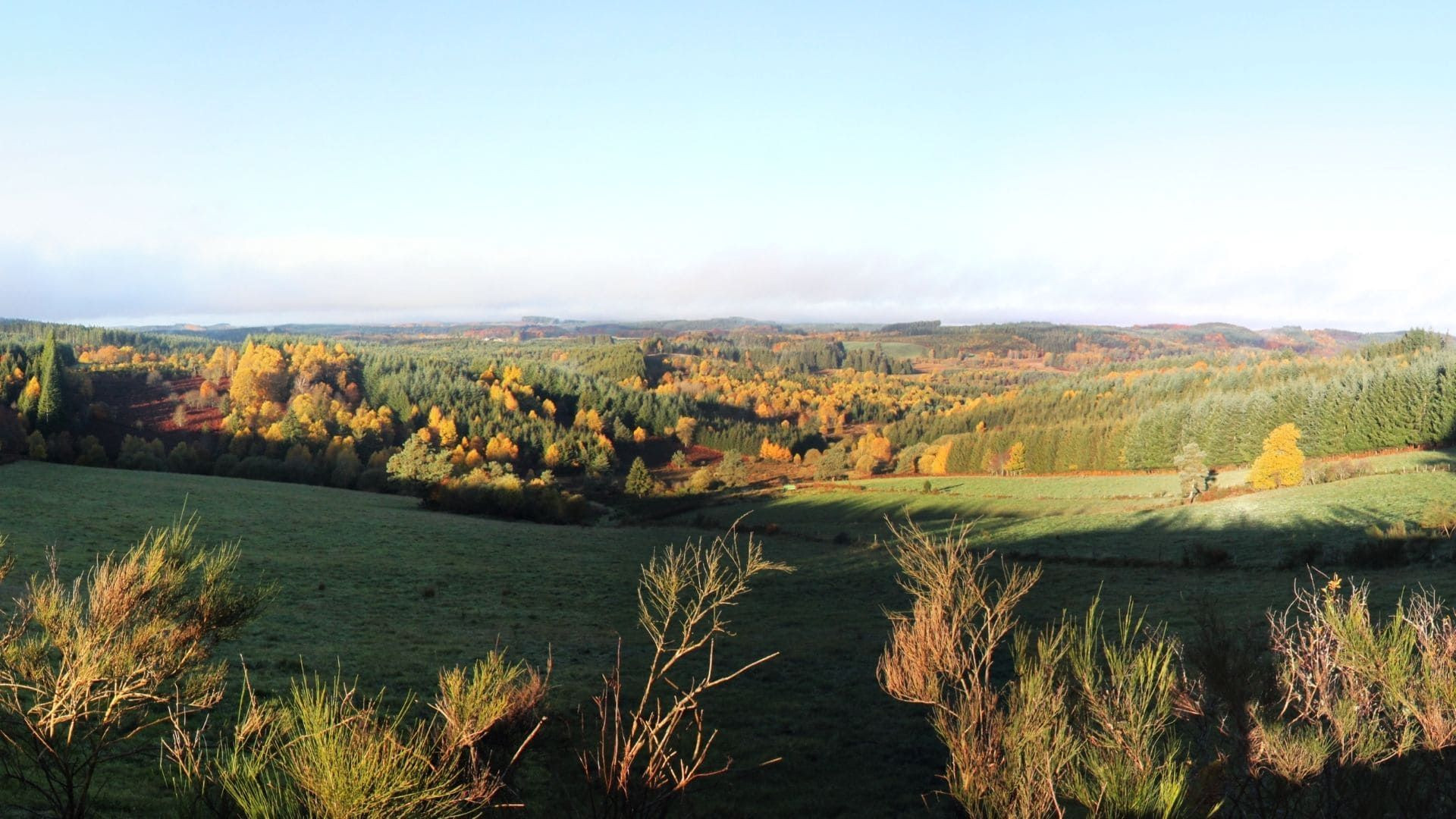 Source de la Vienne en automne près de Peyrelevade - Plateau de Millevaches - France