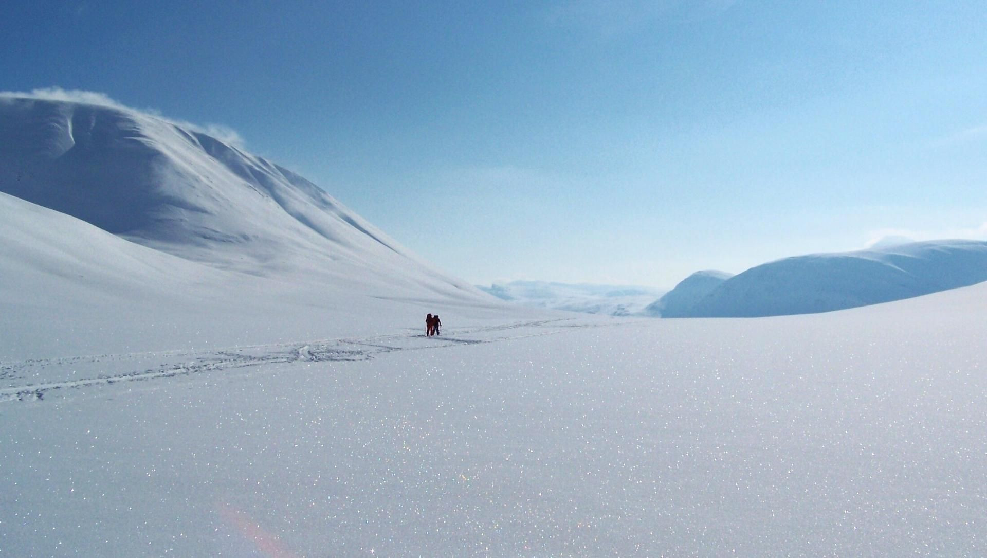 Neige scintillante sur la Kungsleden - Paysage polaire - Laponie suédoise