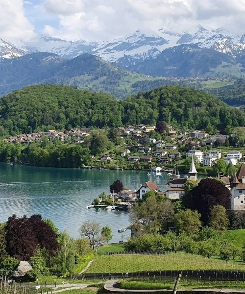 Spiez Lac De Thoune
