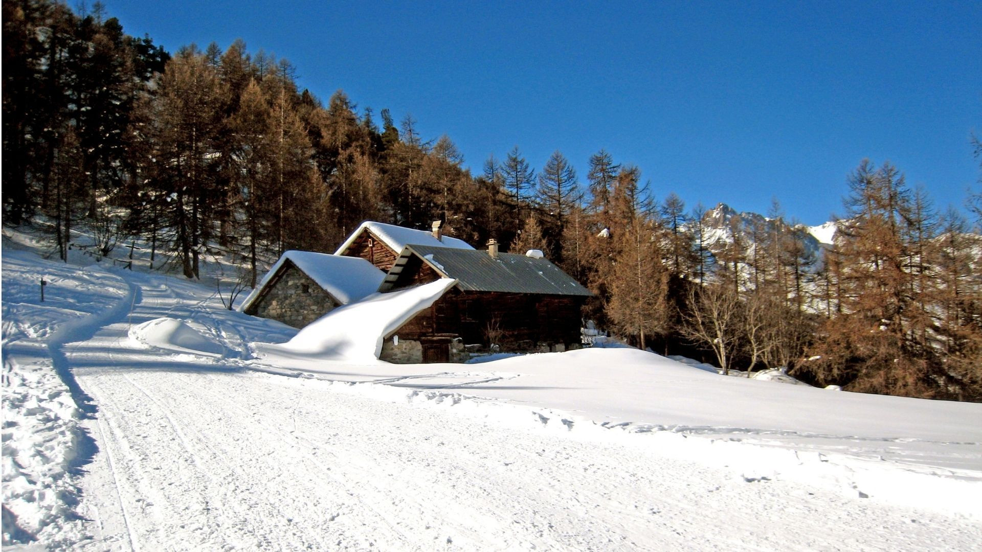 Chalet de pierre et mélèzes sous la neige - Hautes-Alpes - France