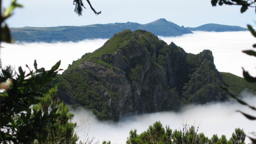 Sommet émergeant au-dessus d'une mer de nuages - Madère - Portugal