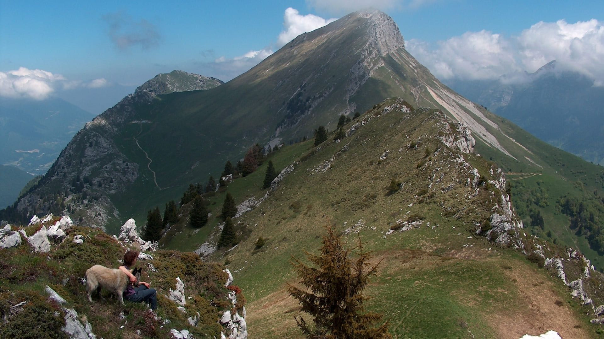 Randonneur et chien sur une crête sommitale - Bauges - Savoie, France