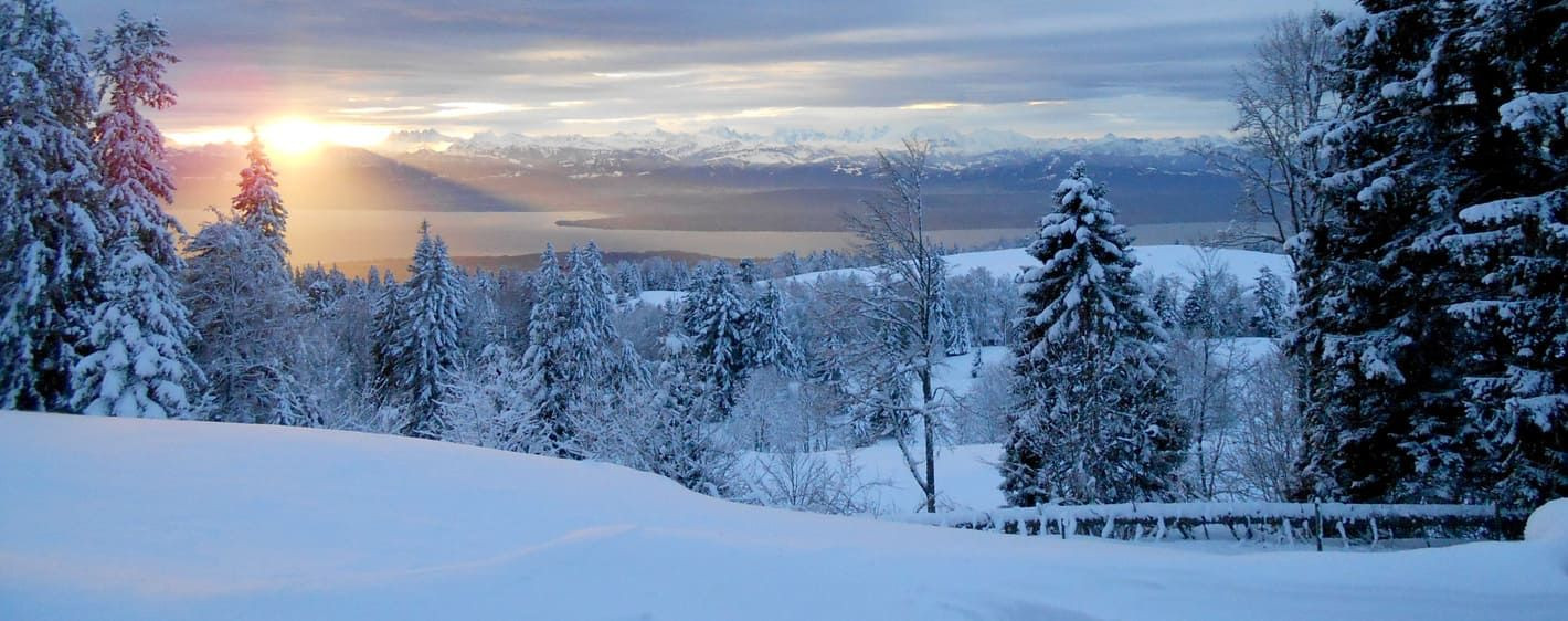 Coucher de soleil hivernal sur paysage enneigé - Jura - France