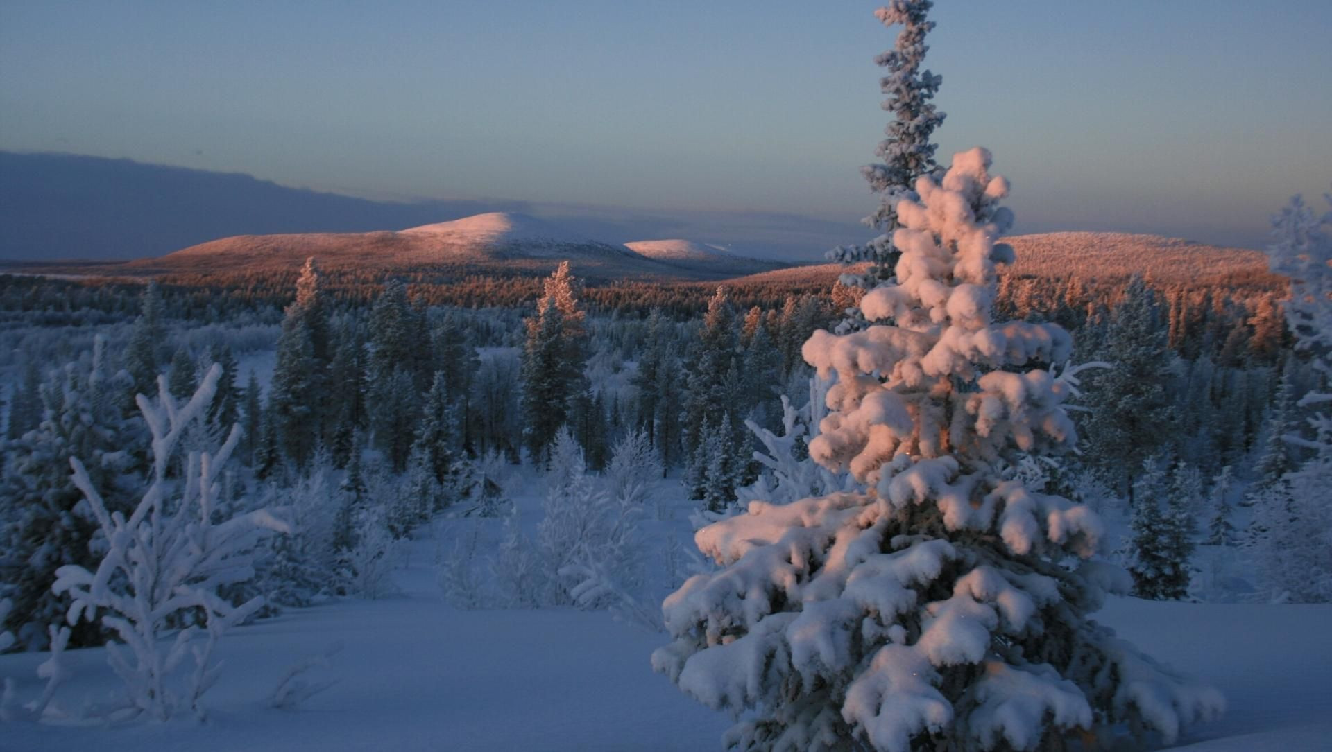 Coucher de soleil sur un paysage lapon en hiver - Laponie - Finlande