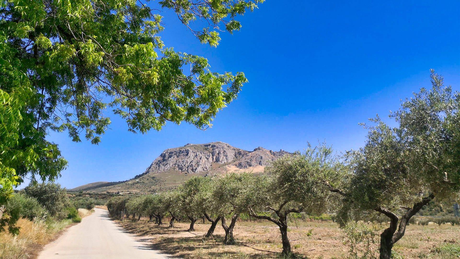 © Nicolas Saenger Sur La Route De Corinthe C Nicolas Saenger - Grèce