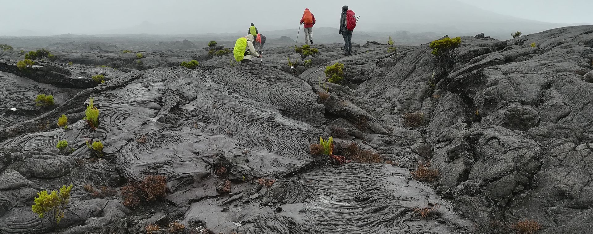 Sur Le Champ De Lave De L Enclos Fouque - Île de la Réunion