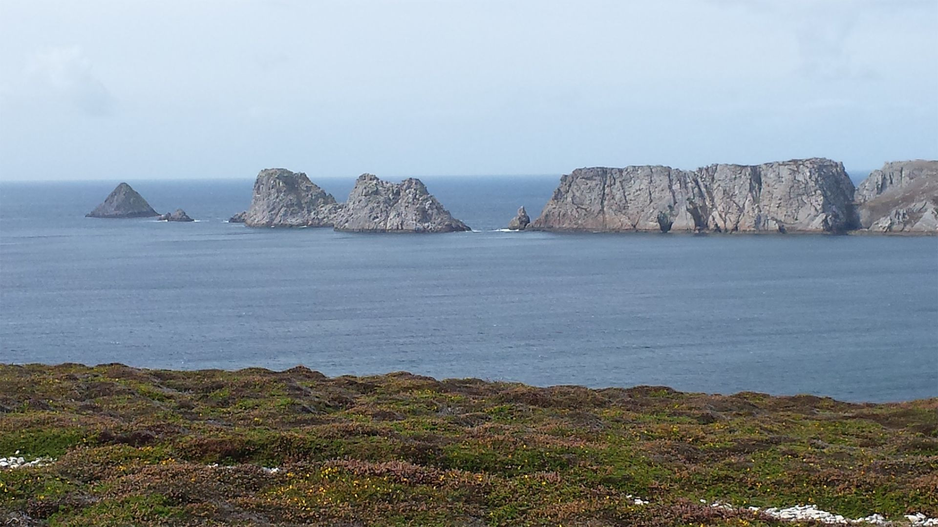 Aiguilles marines du Tas de Pois - pointe de Pen-Hir - presqu'île de Crozon, Bretagne