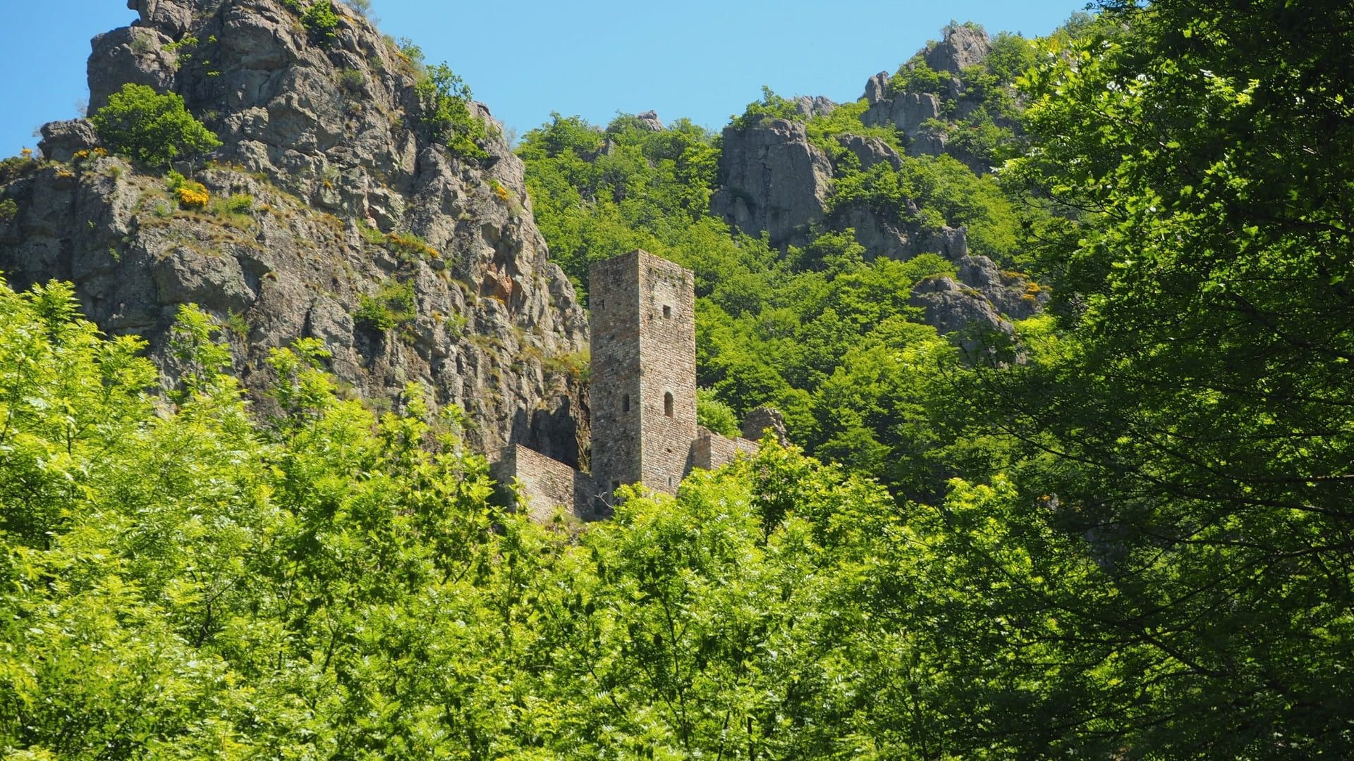 Tour médiévale en ruine dans la falaise boisée - Ardèche - France