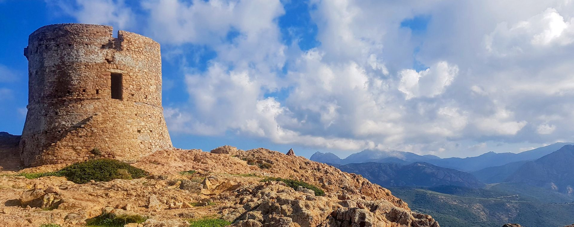 Tour génoise de Turghju face au maquis - Corse - France
