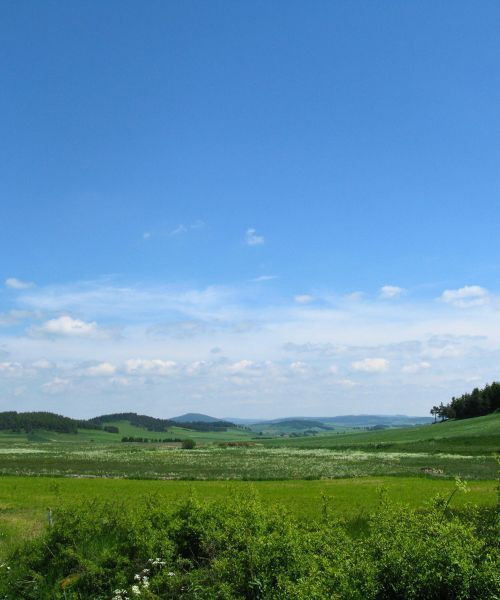 Vers Paradelles - Chemin de Stevenson - France