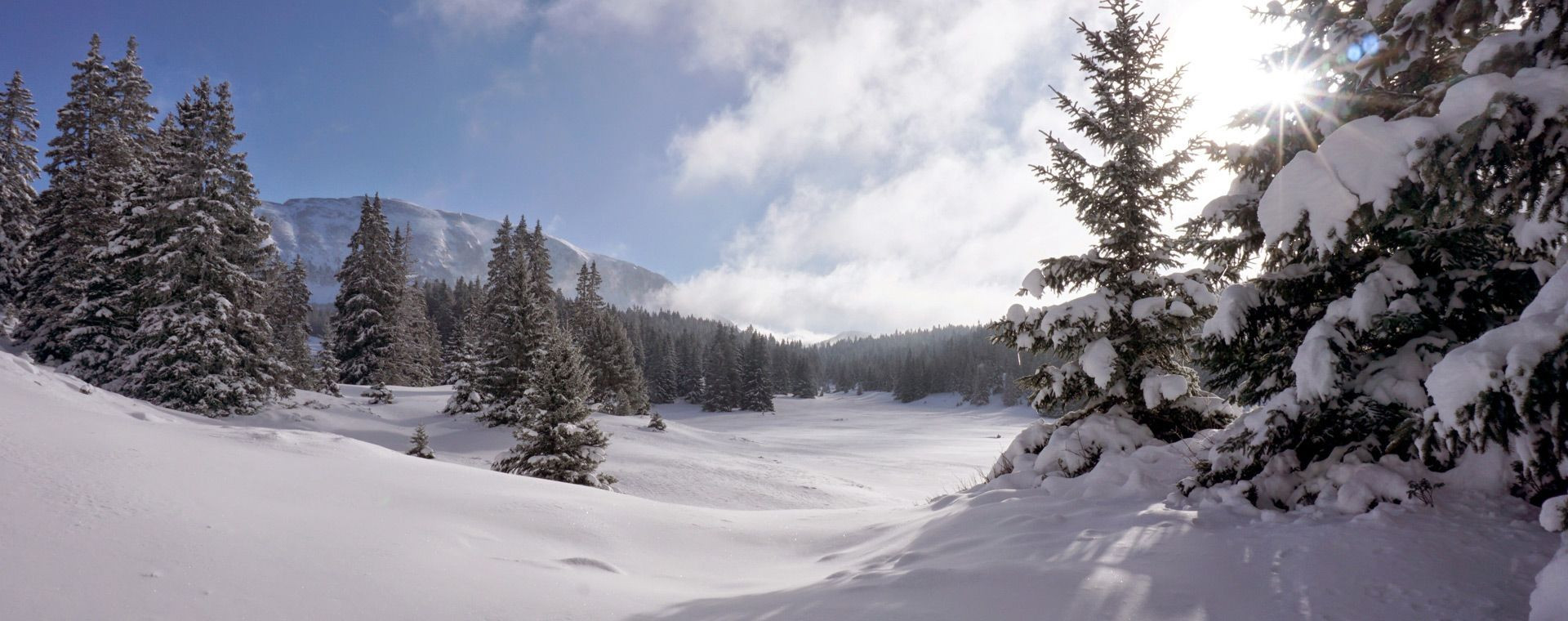 © Adrien Ozanon Forêt enneigée sous le soleil d'hiver - Haute-Loire - France