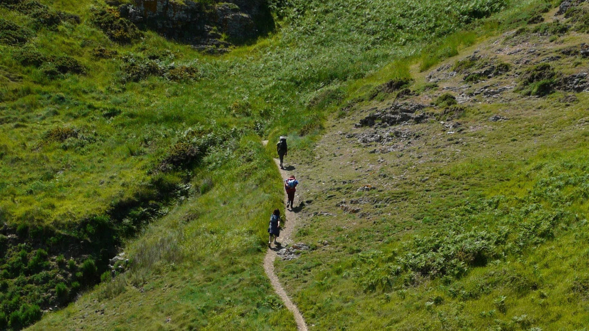 Sentier vers le phare de la Pointe des Poulains - Belle-Île - France