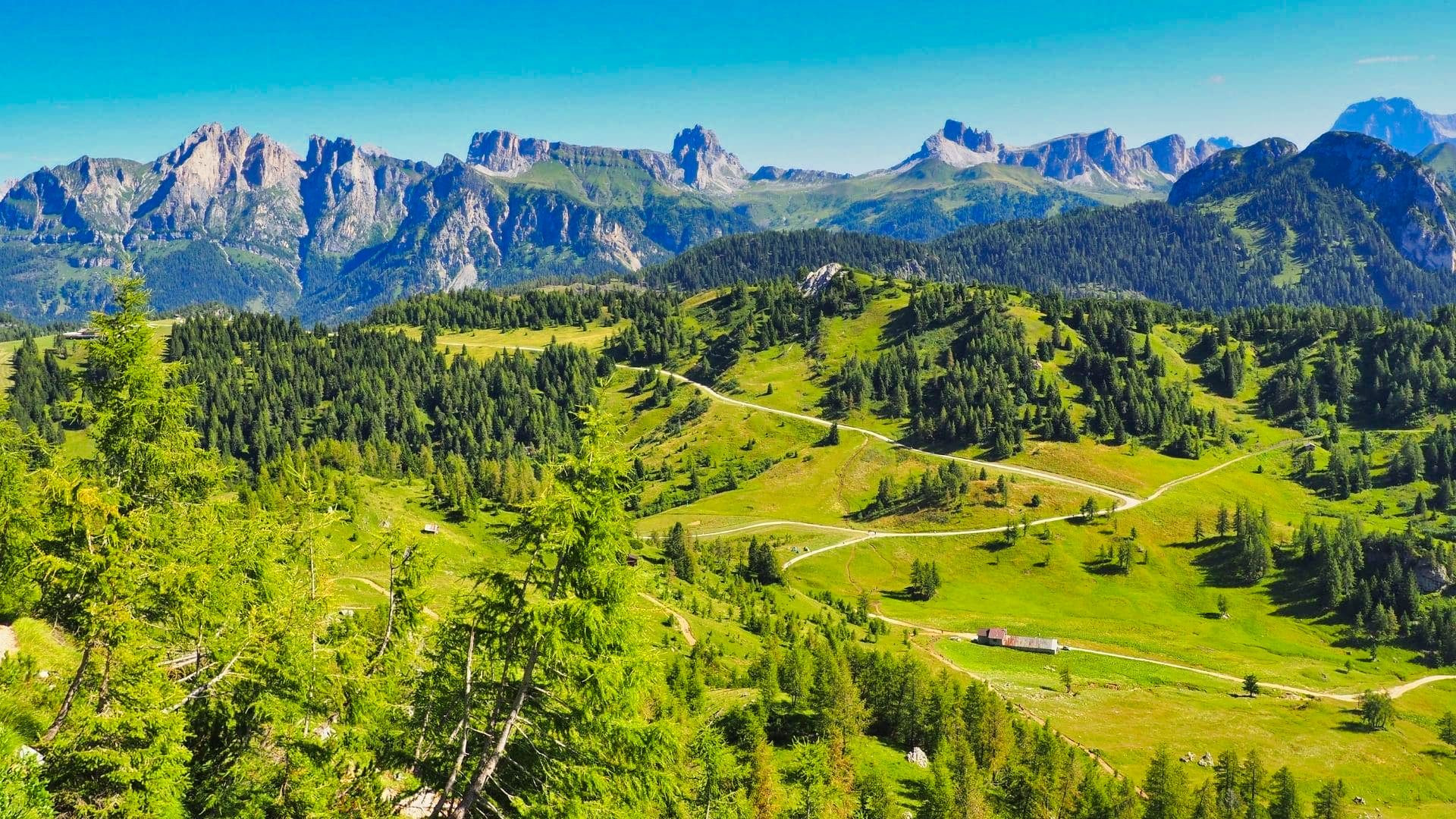 Alpages et sommets dolomitiques - Dolomites - Italie